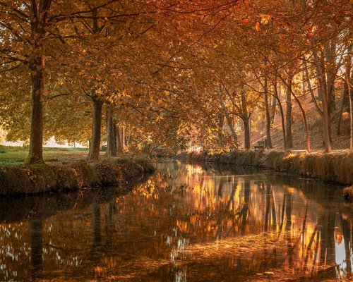Mariana López, Coordinadora de Contenidos de Sonido Vital
